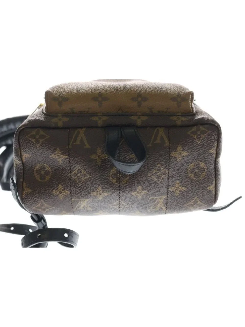 Louis Vuitton Monogram Reverse Palm Springs PM Backpack